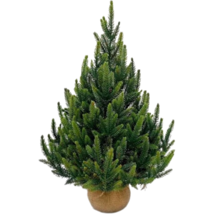 Ель TRIUMPH TREE КОРОЛЕВСКАЯ 100% литая 60 см в мешочке зеленая 72266